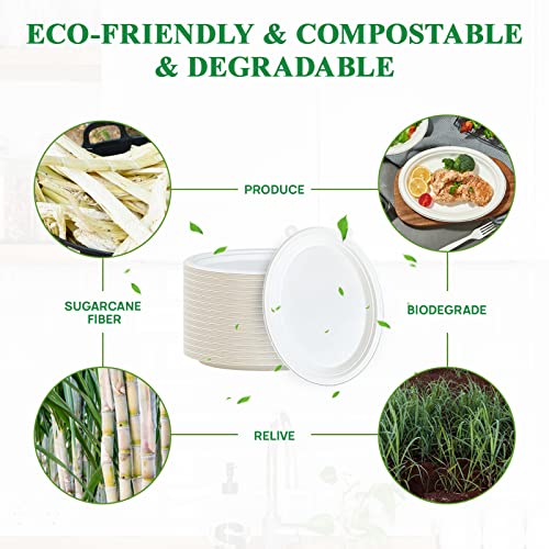 12 Inch Compostable Oval Paper Plates - White, 300 Pack - Eco-Friendly & Heavy Duty