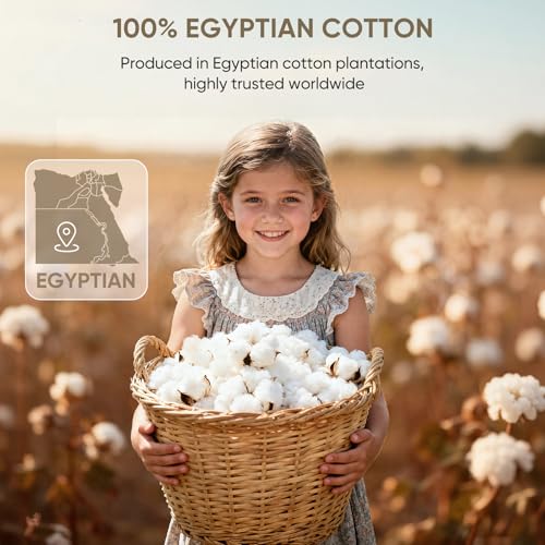 Gray Queen 1200-Thread Count Egyptian Cotton Bed Sheet Set with Deep Pockets