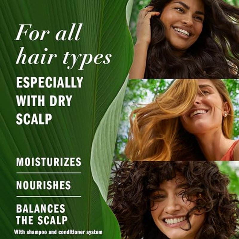 Herbal Essences Bio: Renew Aloe + Eucalyptus Sulfate Free Shampoo Scalp Balance, 13.5 Fl Oz, 5.491 Fl Oz