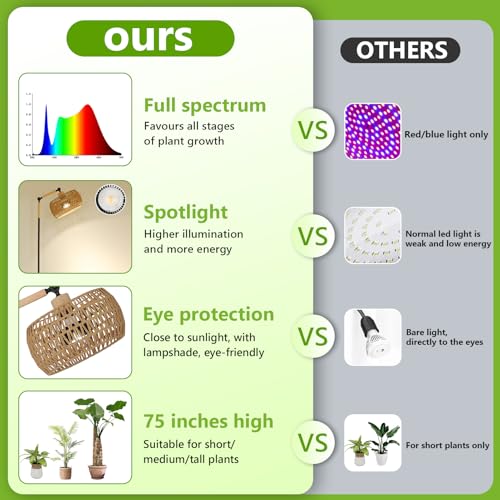 Full Spectrum Indoor Plant Grow Light with 20W COB, Adjustable Height & Timer