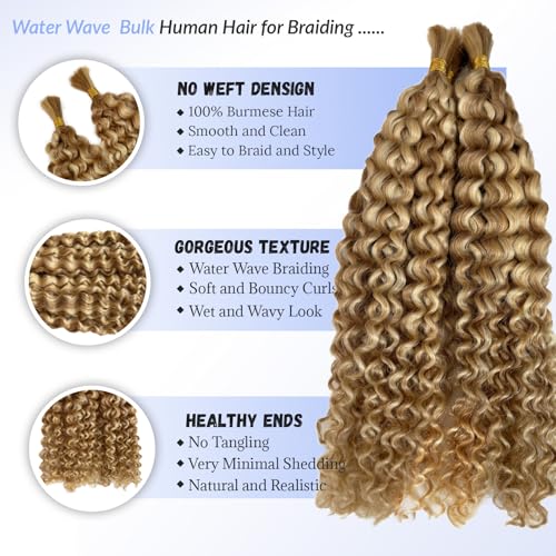 Highlight Human Braiding Hair #27/613 Boho Water Wave Bundles 12 Inch Blonde Highlights