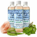 Dale Audrey Mint Himalayan Salt Water Rinse 16 oz Pack of 3 - Natural Oral Care