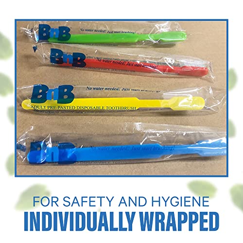 Mint Disposable Toothbrushes Pack of 288 - Individually Wrapped, No Water Needed