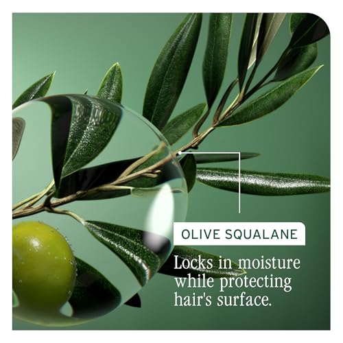 Biolage Strength Recovery Conditioner 8 Fl Oz for Damaged Hair - Deep Hydrating & Strengthening