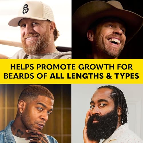Premium Beard Growth Kit Sandalwood - Oil, Vitamins, Brush & Spray for Men