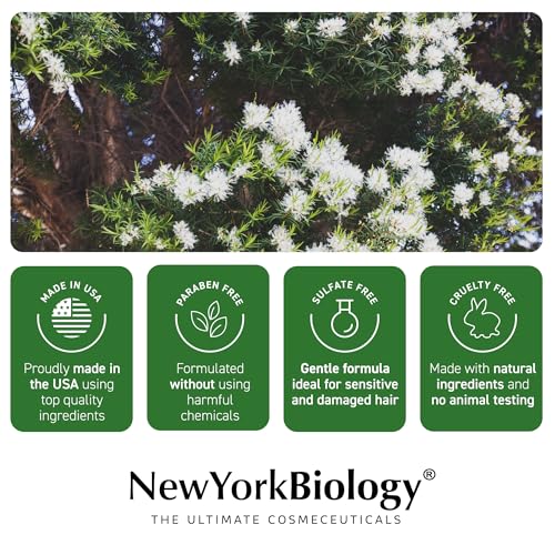 New York Biology Tea Tree Shampoo 16.9 Fl Oz Pack of 2 - Hydrating, Sulfate-Free Hair Care for Men & Women