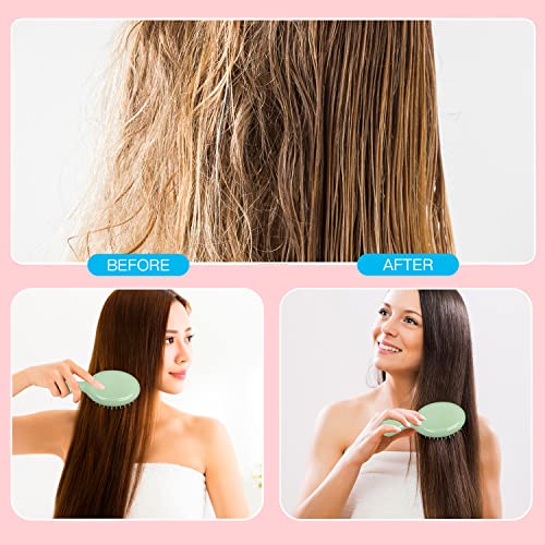 36 Pack Mini Wet Hair Brushes for Travel & Detangling - Multicolor