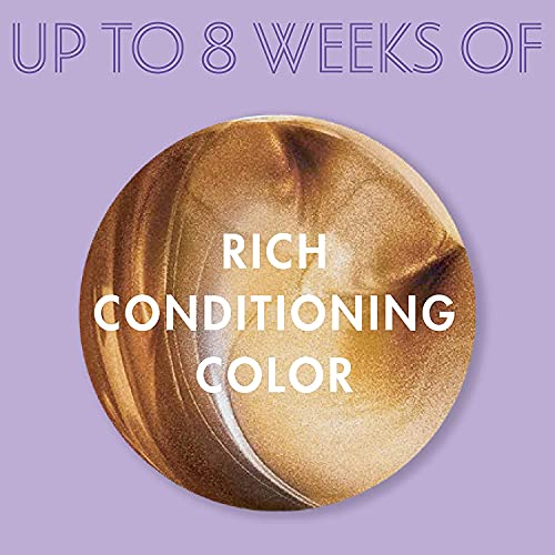 Dark & Lovely Chestnut Blonde Hair Color Kit - 2 Pieces, Pack of 2