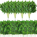 80 Pcs Italian Ruscus Greenery Stems Bulk, Green - Suncalla 21.6in
