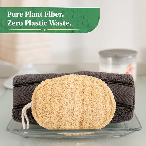 4 Pack Oval Natural Loofah Sponges - Exfoliating Body Scrubber for Shower