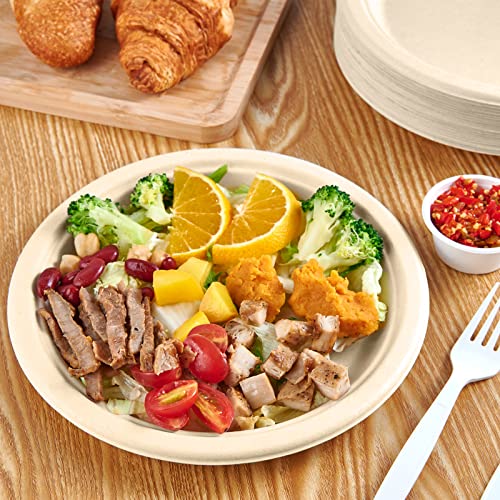 Vplus 500 Pack 9-Inch Compostable Sugarcane Fiber Plates Eco-Friendly Durable Dinnerware