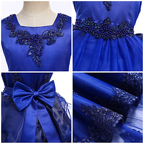 Flower Girl's Dress Princess Puffy Tulle Dresses Bridesmaid Wedding Communion Birthday Party Pageant Maxi Prom Gown for Kids