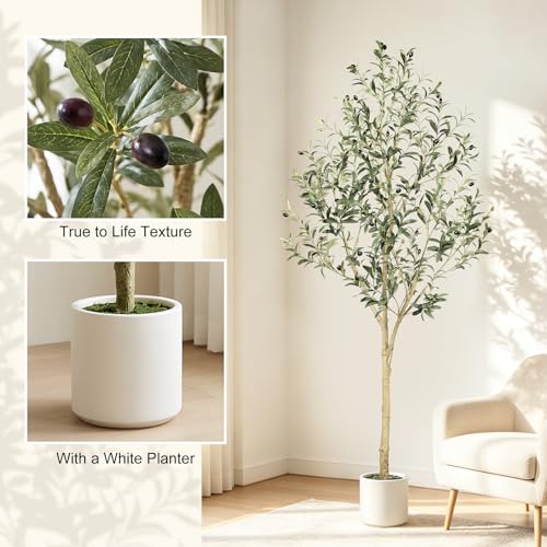 6ft Faux Olive Tree with Sturdy White Planter - Realistic Artificial Indoor Plant