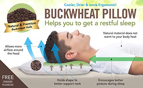Buckwheat Pillow with Organic Cover - Sobakawa Style Neck Support Pillow - Variation 2