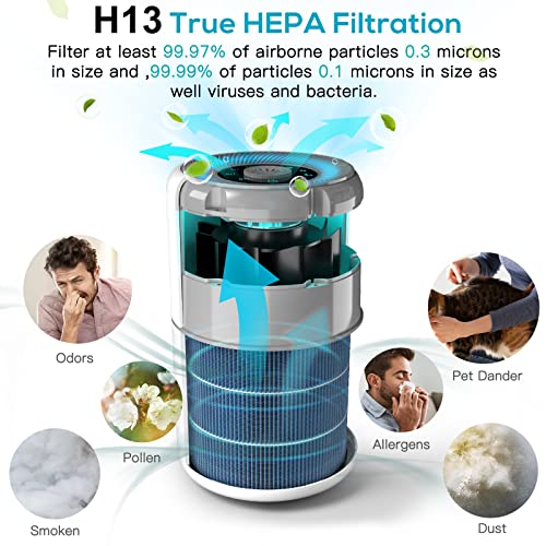 AIRTOK 2 Pack Bedroom Air Purifier with HEPA Filter for Smoke Dust Odors Pets