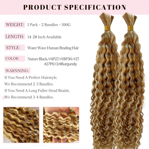 Belaved Human Braiding Water Wave Hair Extensions 16 Inch Strawberry Blonde to Bleach Blonde Ombre - 2 Bundles, 100g
