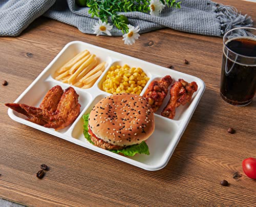 Disposable 5-Compartment Plates - Compostable Sugarcane Fiber, 10.2x8.5 inch, 500 Pack - White