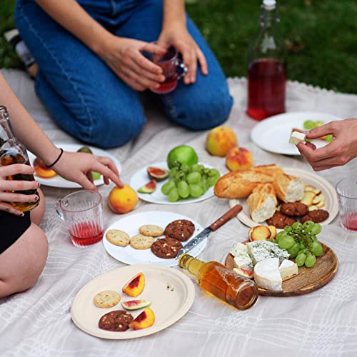 Vplus 500 Pack 9-Inch Compostable Sugarcane Fiber Plates Eco-Friendly Durable Dinnerware