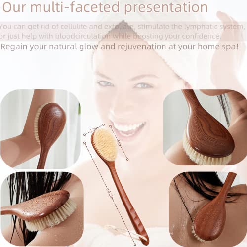Dry Body Brush with Long Wooden Handle for Exfoliation & Back Scrubbing - Natural Boar Bristles
