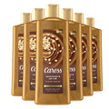 Moisturizing Body Wash for Women - Cocoa Butter & Oat Milk, 18.6 oz, 6 Pack