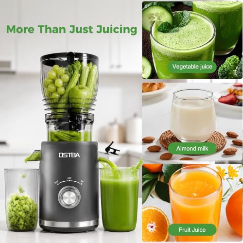 OSTBA 300W Cold Press Slow Masticating Juicer with 5.8-Inch Wide Feed Chute - Black