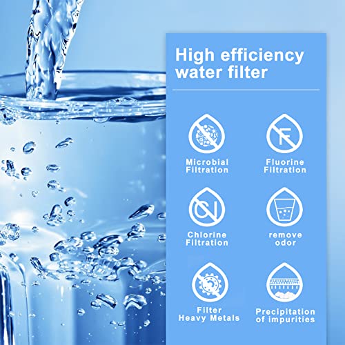 DTESL 4 Black & 4 Fluoride Water Filter Replacement Set for Ber-key BB9-2 & PF-2 Systems