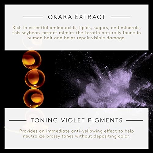 Purple Toning Shampoo for Blonde, White & Silver Hair - 6.7 oz - Neutralizes Brassiness