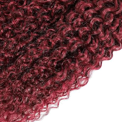 Ratheinhi Burgundy Human Hair Bundles Curly Wave 26-30 Inch, 99J Color, 300g Virgin Brazilian Hair
