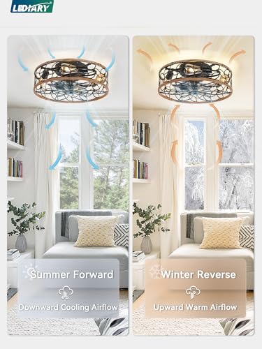 LEDIARY Walnut and Black Caged Ceiling Fan with Light - Flush Mount with Remote - Medium Variation