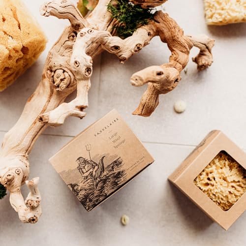 Sea Wool Sponge 5.5 Inch Natural Sea Sponge for Bathing & Exfoliation - Durable & Eco-Friendly Loofah