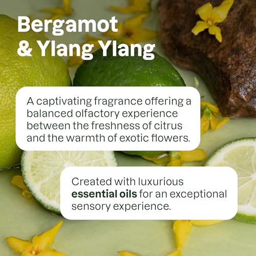 Nourishing Shampoo with Bergamot & Ylang Ylang - 16 Fl Oz - Vegan, EWG Verified