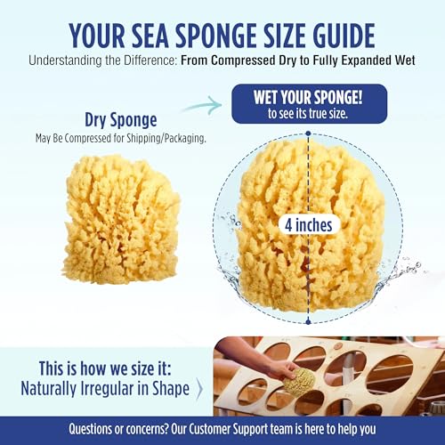 Baby Bath Sponge 4in Natural Yellow Sea Sponge 3 Pack - Soft, Hypoallergenic & Biodegradable for Tender Skin