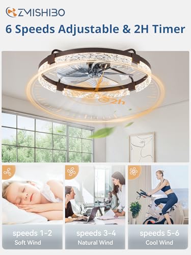 ZMISHIBO 24 Inch Ceiling Fan with Lights, Remote & App Control, Brown