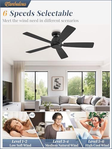 Fanbulous 46 Inch Black Flush Mount Ceiling Fan with Remote Control