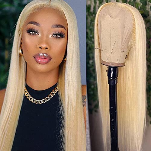 Blonde Lace Front Wig 24 Inch Long Straight Synthetic Hair for Women