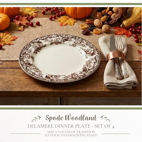 Dinner Plate Set of 4 - 10.5 Inch White and Brown Earthenware, Microwave & Dishwasher Safe | Delamere Pattern