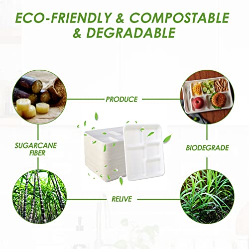Disposable 5-Compartment Plates - Compostable Sugarcane Fiber, 10.2x8.5 inch, 500 Pack - White