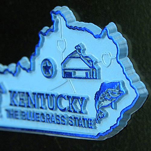 U.S. State Magnet Set - 51 3D Rubber Souvenir Magnets for Collectors - Made in USA