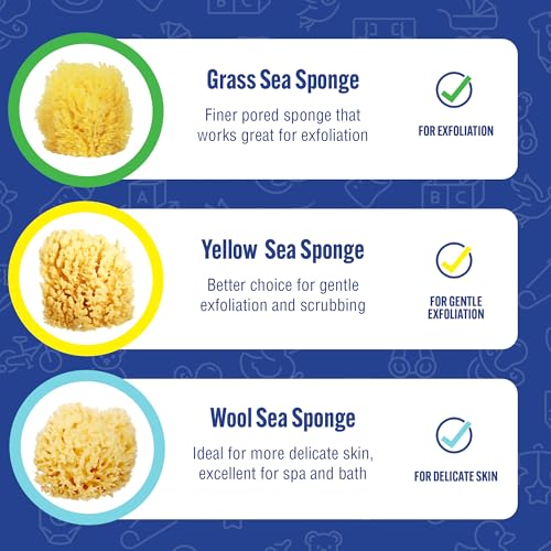 Baby Bath Sponge 4in Natural Yellow Sea Sponge 3 Pack - Soft, Hypoallergenic & Biodegradable for Tender Skin