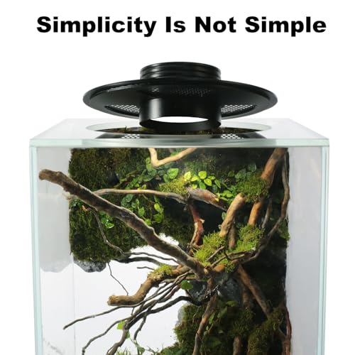 Desktop Glass Plant Terrarium with Adjustable Grow Light for Succulents & Moss