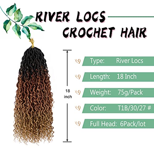 18 Inch LIYATE Goddess Locs Crochet Hair 6 Packs T1B/30/27 - Pre-Looped