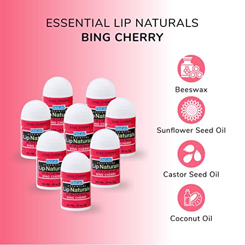 Mini Lip Balm Set SPF 15 with Natural Ingredients - 50 Count Assorted Flavors