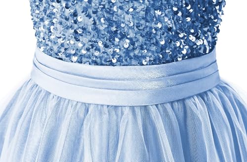 Baby Blue Flower Girl Dress with Sequins Tulle Puffy Skirt - Floor Length Wedding & Party Gown