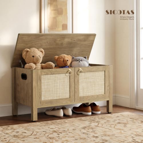 SICOTAS Rattan Storage Bench Boho Lidded Chest with Safety Hinges - Carbon Cherry, 1 Piece