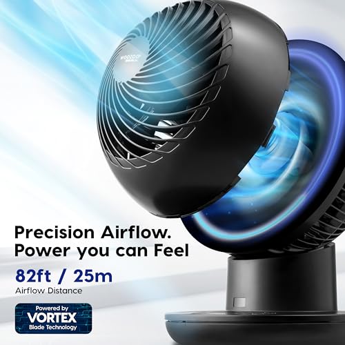 Air Circulator Fan with Remote 8 Speeds DC Motor Oscillation Black - Variation of THIS listing