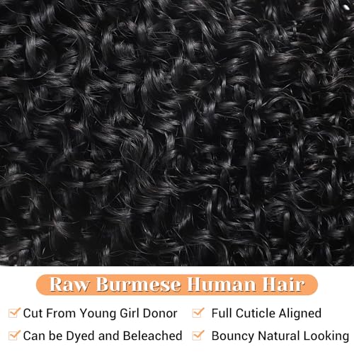 Black Burmese Curly 16 Inch HD Lace Frontal Human Hair 13x6 Pre-Plucked with Baby Hair