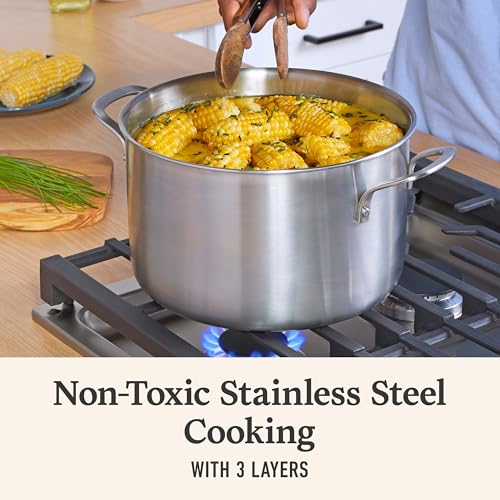 Calphalon Brushed 3-Ply Stainless Steel Stock Pot 6Qt with Lid - Oven Safe, Induction Ready