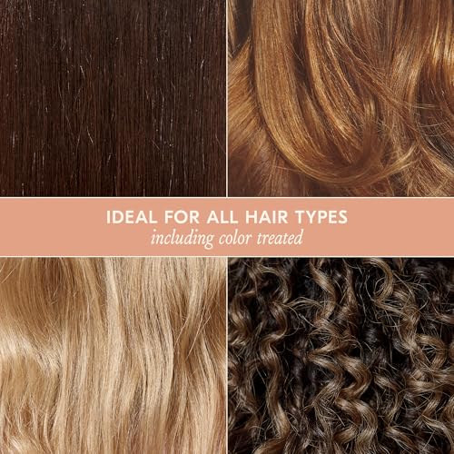 Signature Shampoo - Sulfate-Free Hair Care for All Hair Types - DAE