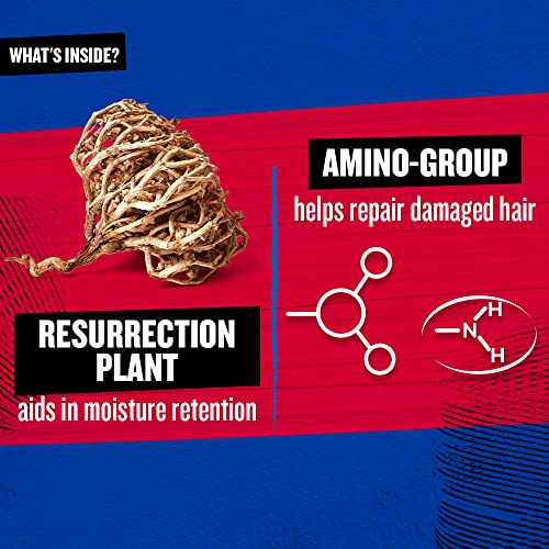 TIGI Bed Head RESURRECTION REPAIR CONDITIONER FOR DAMAGED HAIR 13.53 fl oz (Pack of 2)