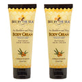Bee by the Sea Natural Sea Buckthorn and Honey Body Cream (2.5 oz, 2 Pack)